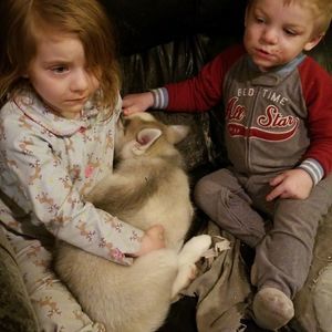 Meet your Posher, Justin